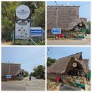 강서고건너편 페달로 옆 | [인도 첸나이 자전거 맛집 투어] 첸나이 소재 케랄라 식당 오루 케랄라 스토리 방문 후기