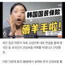 중국인 나와 "한국 건강보험 본전 뽑자"…영상엔 이 내용 이미지