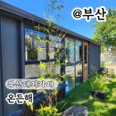 대저 | 부산대저카페 감성카페 온든해 후기