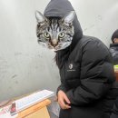 홍광초등학교 | 뭐하고살고있냐면