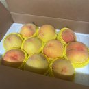 메이플농장 | [My 2025 Maplestory Wrapped] 2025 메이플 연말결산 by 잠수님