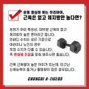 충의 K타이거즈 태권도장 이미지