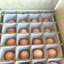 뜨레난농장 이미지