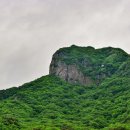 담양호국민관광지 이미지