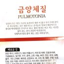 8메디한의원 이미지