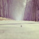 마른기침과 가래가 계속될 때 멈추는 방법 알아보기 이미지