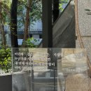 스타스인사이트 | 송리단길 조용한 카페 뷰클런즈. 깊이 사색하게 좋은 곳.