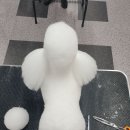 아온펫 이미지