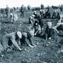 도호농장 이미지