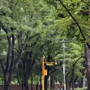 일곡 근린공원 옆 | 영등포 문래 근린 공원 주말 풋살장 농구장 산책 후기