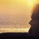 2019년 가로수 식재사업(하의면 웅곡~대리 간) | <고향 만세!> 변신의 용틀임하는 하의도