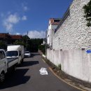 강정동-14 이미지