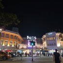 싱가포르 과일 망고 납작복숭아 망고스틴 슈가애플 먹는법