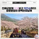 223-2-000010 | 창원NC파크｜3루2층 223블록 좌석시야 그리고 진해 군항제