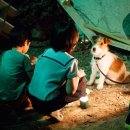 이레공인중개사무소 이미지