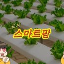 예진팜