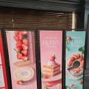 세종홈플러스건너편 | 애슐리 2026 딸기시즌 축제 주말 전메뉴 방문후기