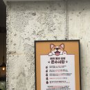 [공지] 여수 돌산 애견동반 오션뷰 대형카페 추천 피읖