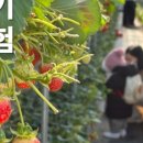 귀여농장 이미지