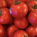 복순이네 이미지