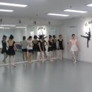 세종아르테발레아카데미학원