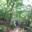 애니메이션고교 이미지