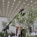 유키구라모토 피아노 연주회 이미지