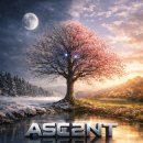 어센트컴퍼니 이미지