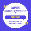 77부동산중개 이미지