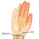 헬스보이짐 앤 필라걸 용문역점 이미지