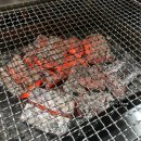 대머리장어 이미지