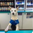 우리편의점 이미지