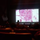 10cm 디에이드 콘서트 이미지