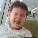 마리나장 이미지