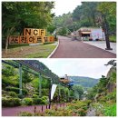 경기 포천 아트밸리/허브아일랜드/한탄강 Y형출렁다리/비둘기낭 폭포/한탄강 하늘다리 (&#39;25.9.26) - 1 이미지