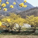 공원마을4길 34 이미지