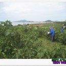 수화로 소통하기 이미지