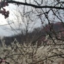 백운산민박 이미지