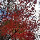 좋은아침팬션 이미지