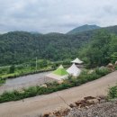 어린왕자펜션 이미지