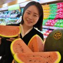 롯데백화점 이미지