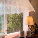 아원메드(주) | 전주 데이트코스 추천 맛집 카페 후기 [ 카페소양/ 라온 / 두베 / 아중장어/ 메드에스프레소 / 돈키호테...