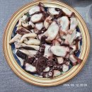🐙 피문어(참문어) 이미지