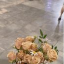 (주)델디아 이미지