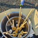 비타민팜 이미지