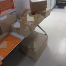 24시 강서 젠틀리동물의료센터 | [임신 17주차] 마곡 동물병원 추천 | 젠틀리 동물병원 | 아비시니안 아토피 피부병 | 국제성모병원 건강...