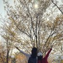 봉황교 주차장 이미지