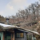 박터진흥부네 이미지