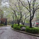 소진백한의원 네이버블로그