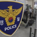 백조사세탁소 서울경제